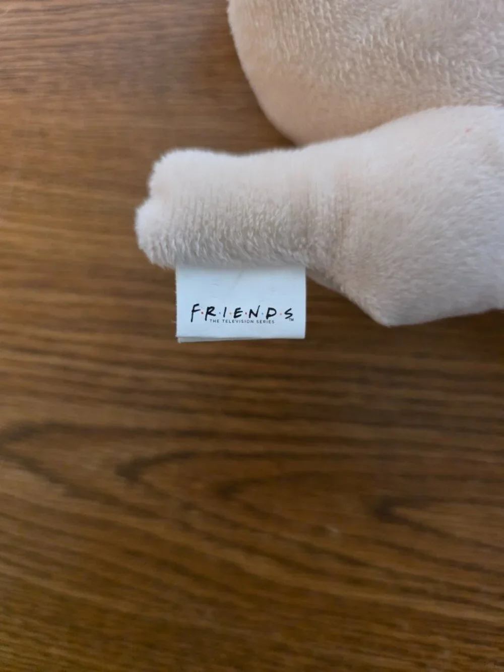 Plush Friends TV Show Turkey Head Squeaky Dog Toy 7